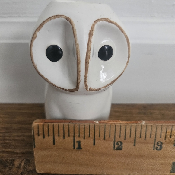 Air Plant Container - Picture 4 of 8